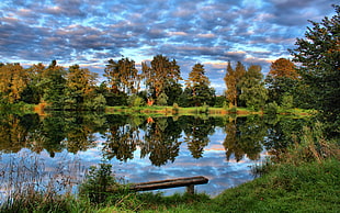 landscape photo reflection of tress and blue and gray sky on water during daytime HD wallpaper