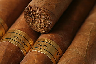 brown Habana cigars, cigars, Habana HD wallpaper