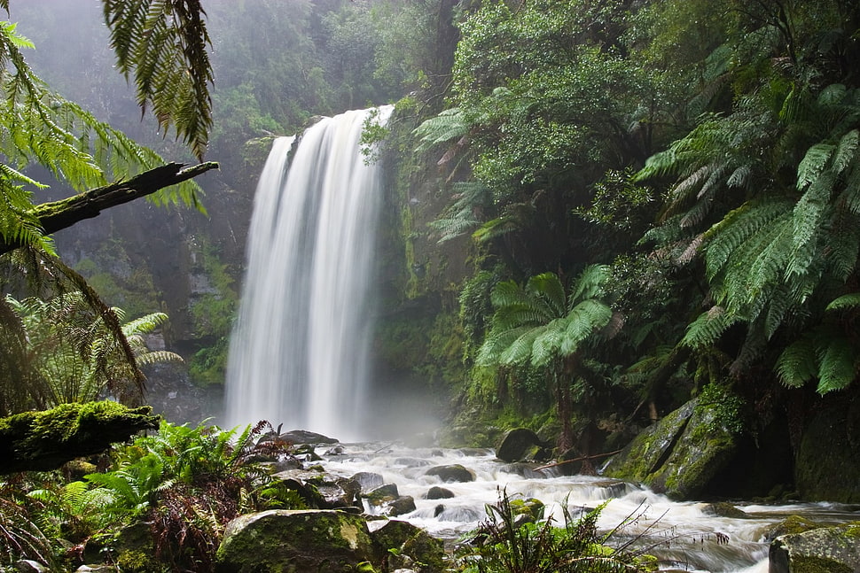 waterfall with green lush background HD wallpaper