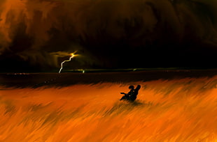 orange grass field during night painting
