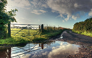 brown wooden fence, nature, reflection, road, fence HD wallpaper