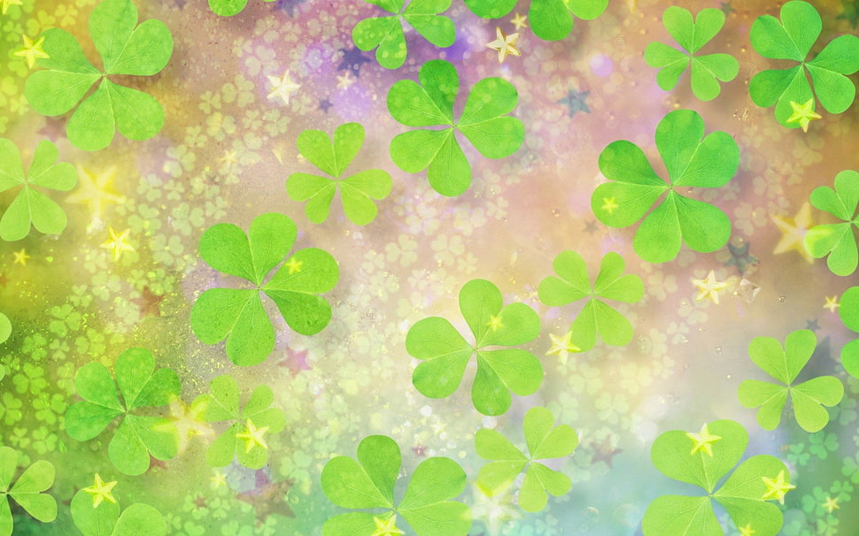 green leaves photo HD wallpaper