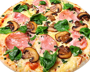 pizza with mushroom and peperoni