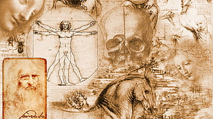 skull and man optical illusion illustration, Leonardo da Vinci, Vitruvian Man, artwork, collage HD wallpaper
