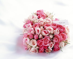 bouquet of pink and white rose