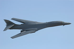 grey fighter plane