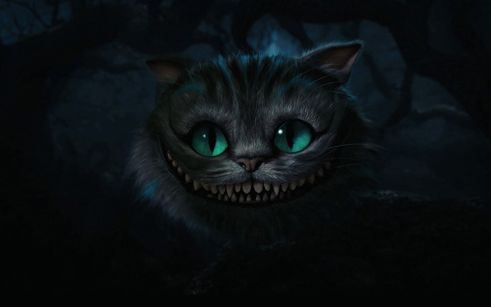 gray cat illustration, Alice in Wonderland, cat HD wallpaper