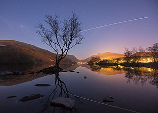 shooting star with reflective photography of bare tree with lighted house during golden hour, llyn padarn, llanberis, snowdonia