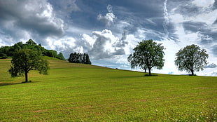 photo of green grass fields with green trees and cloudy sky background