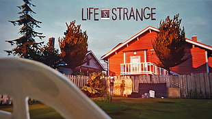 Life Strange logo, Life Is Strange, Max Caulfield HD wallpaper