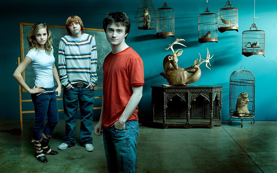 men's red crew-neck shirt, Daniel Radcliffe, Emma Watson, Rupert Grint, Harry Potter HD wallpaper