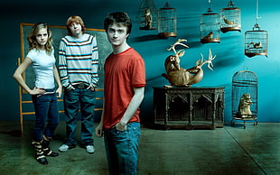 men's red crew-neck shirt, Daniel Radcliffe, Emma Watson, Rupert Grint, Harry Potter