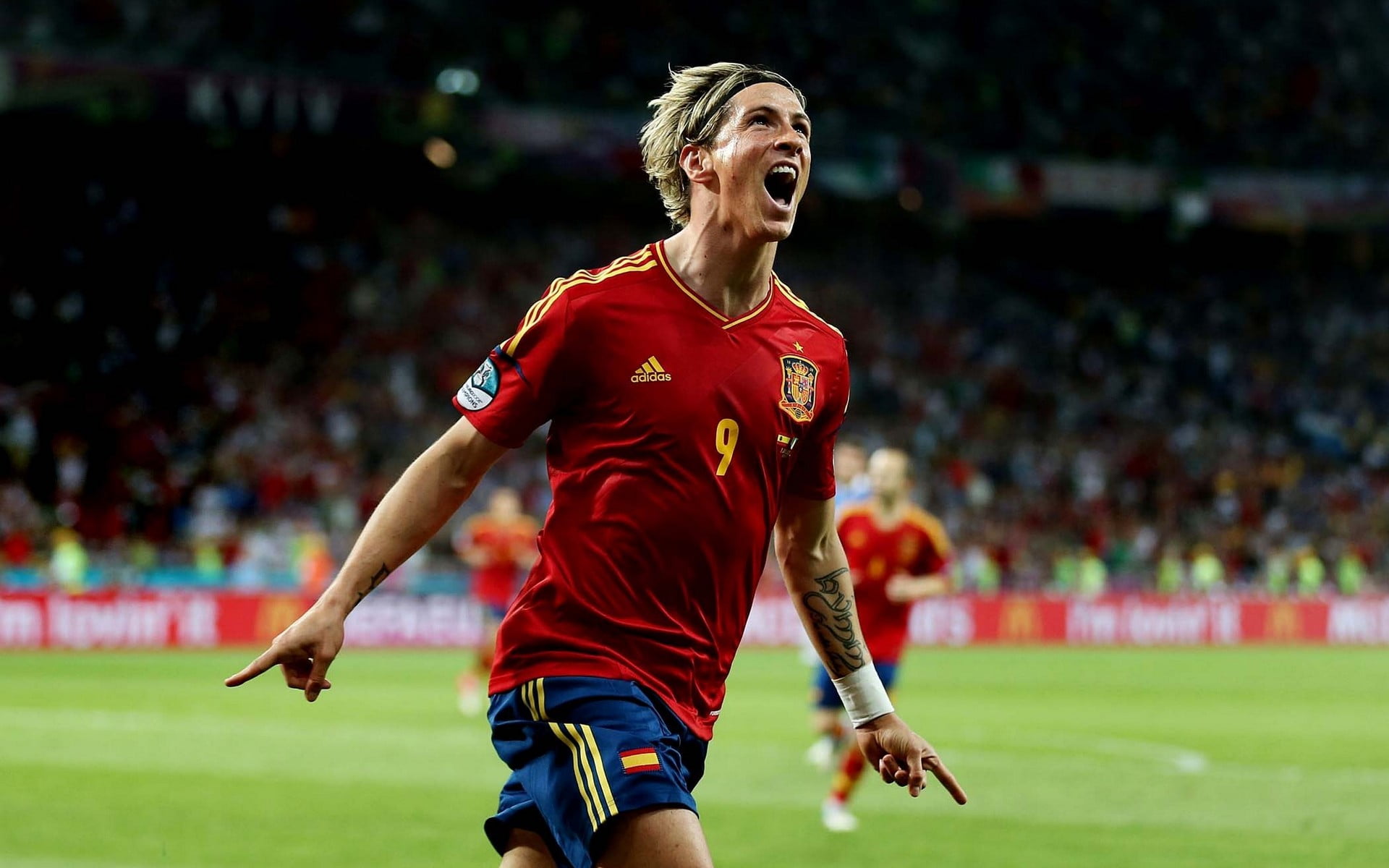 fernando torres spain jersey