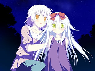 two girl anime character HD wallpaper