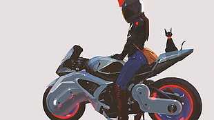black and gray sports bike, motorcycle, cat