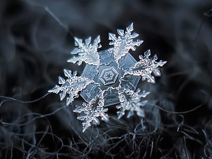 snowflake with black background HD wallpaper