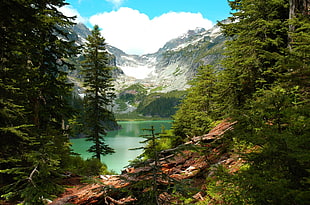 lake between green mountain, lake, forest, mountains, Washington state HD wallpaper