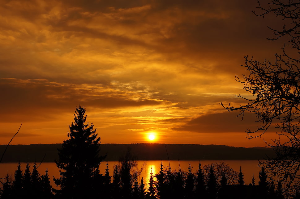 photography of sunset HD wallpaper