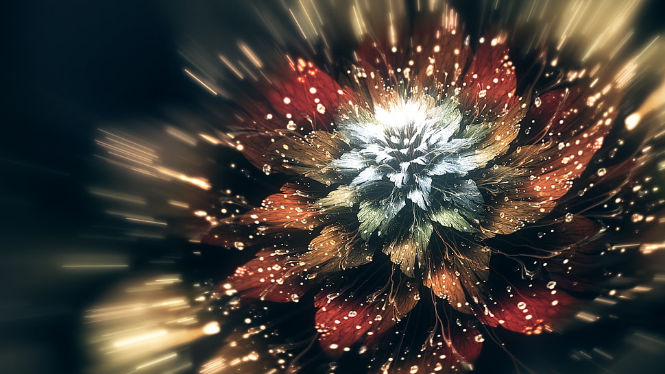 red, blue, and brown petaled flower, CGI, digital art, flowers HD wallpaper