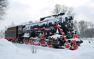 red and black train, train, winter, vehicle