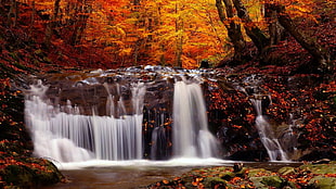 landscape photography of water falls HD wallpaper