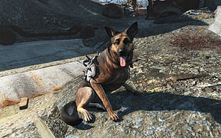 short-coated black and tan dog, Fallout 4, Dogmeat, video games, Fallout