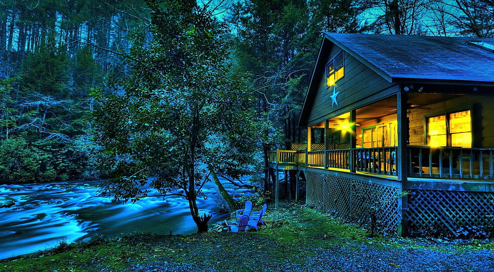 wooden house beside river surrounded by trees HD wallpaper