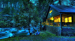 wooden house beside river surrounded by trees