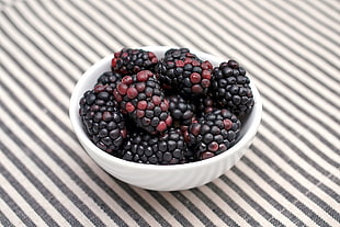 black berries in white ceramic bowl HD wallpaper