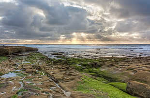 landscape photo of gray seashore during daytime, rays, la jolla