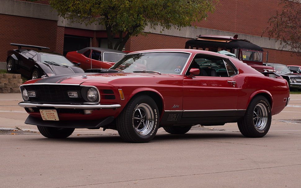 red coupe, Ford Mustang, muscle cars, mach 1 HD wallpaper
