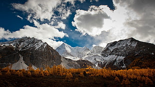 mountain landscape, nature, landscape, forest, mountains HD wallpaper