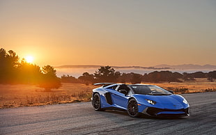 blue Lamborghini Aventador