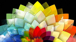 multicolored flower digital wallpaper, digital art, colorful