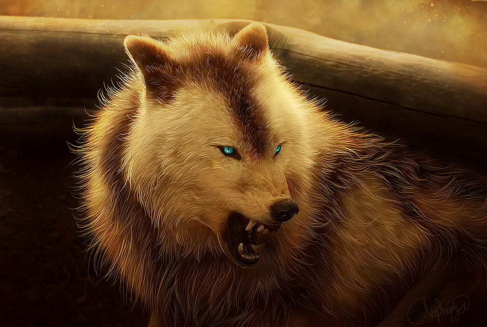 white and brown wolf digital wallpaper HD wallpaper