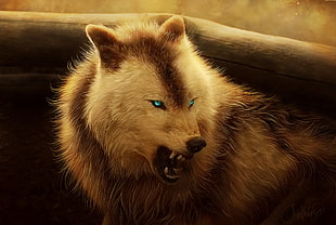 white and brown wolf digital wallpaper