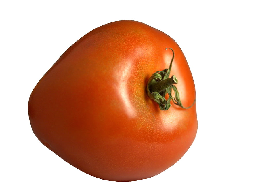 orange Tomato HD wallpaper