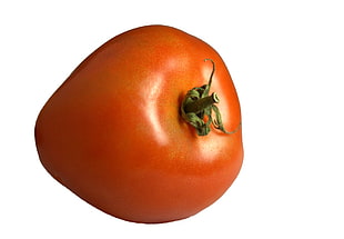 orange Tomato