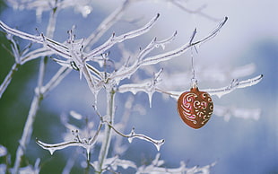 white and red bauble, Christmas ornaments 