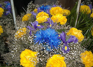 blue, purple, and yellow flowers