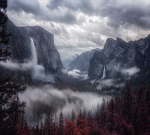 Yosemite National Park, Mountains, Fog, Trees