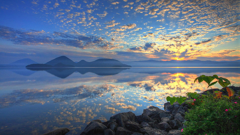 green leafed plant, landscape, nature, reflection, sky HD wallpaper