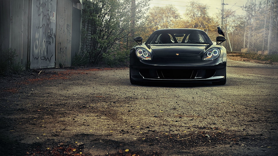 black coupe, Porsche Carrera GT, car, Porsche HD wallpaper