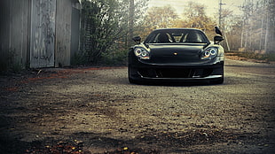 black coupe, Porsche Carrera GT, car, Porsche