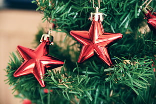 two red star ornaments in closeup photography