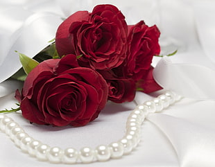 three red roses on white textile near white Pearl necklace