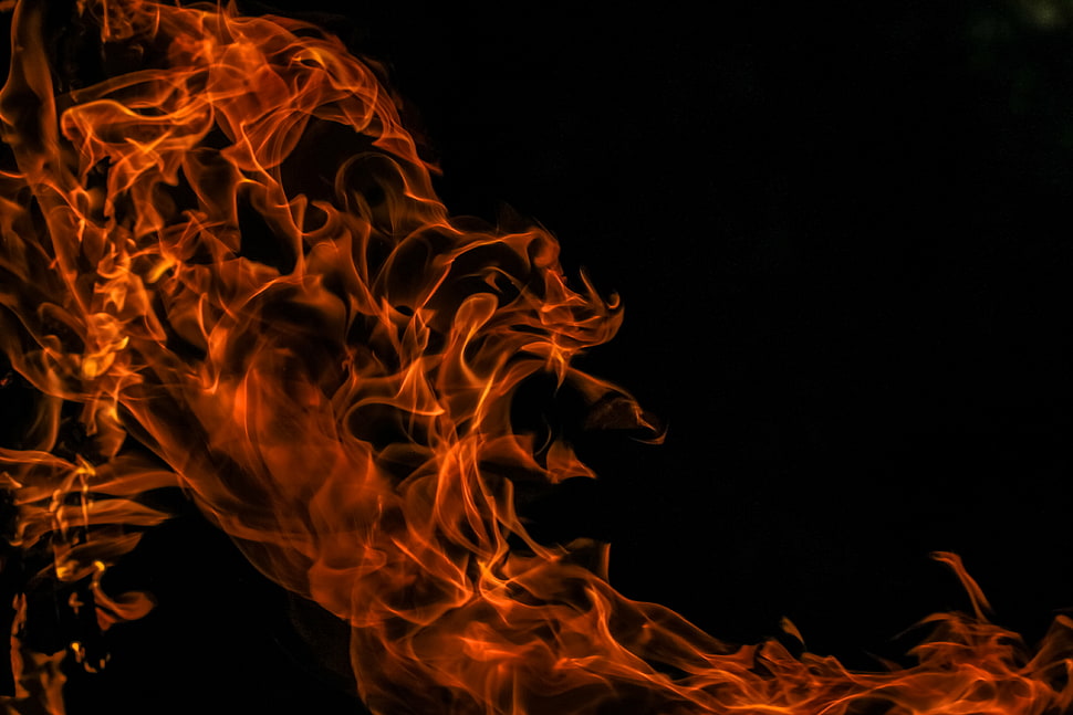 flame digital wallpaper, Fire, Flame, Dark background HD wallpaper