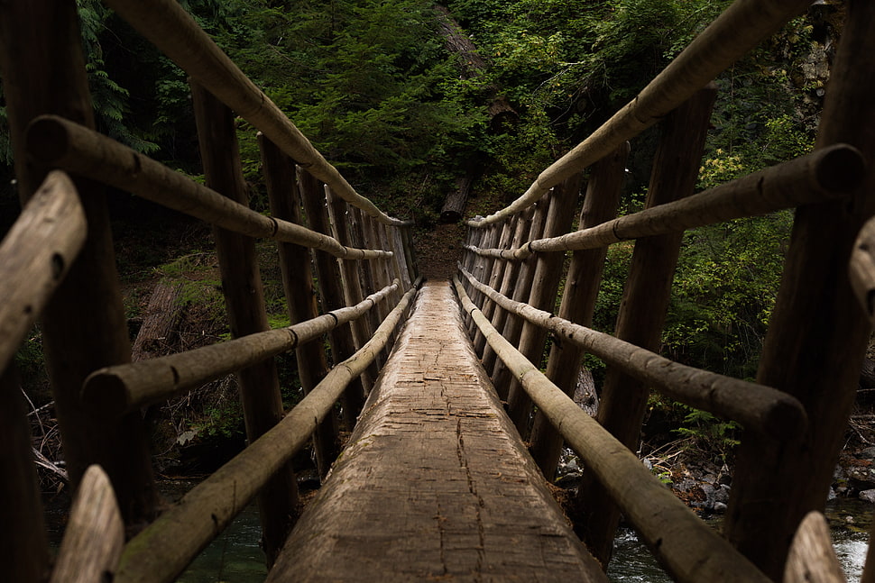 Lover's Bridge, Bridge, Descent, Trees HD wallpaper