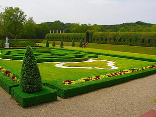 garden with hedge maze HD wallpaper