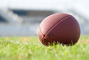 brown football on green field